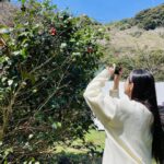 Lee Da-hee Instagram - 동백꽃이 예뻐서..🌺 #제주도 #아일랜드
