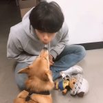 Lee Do-hyun Instagram - 드디어 성공🍂😂 #가을아 #고마워