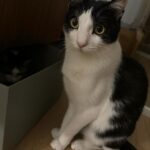 Lee Dong-hwi Instagram - 영혼의 친구