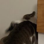 Lee Dong-hwi Instagram - 영혼의 친구