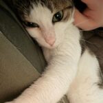 Lee Dong-hwi Instagram - 영혼의 친구