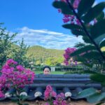 Lee Hanee Instagram - 저 어딨게요?ㅎ . 청송 마지막 촬영날. 막촬이라고 저녁먹고 산책하는 호사중 만난 평화스런 청송의 전경들. . 오늘 정말 최고로 덥고 최고로 아름다웠다. . #밤에피는꽃 #밤샘촬영중🌙 #끝이보인다 송정고택