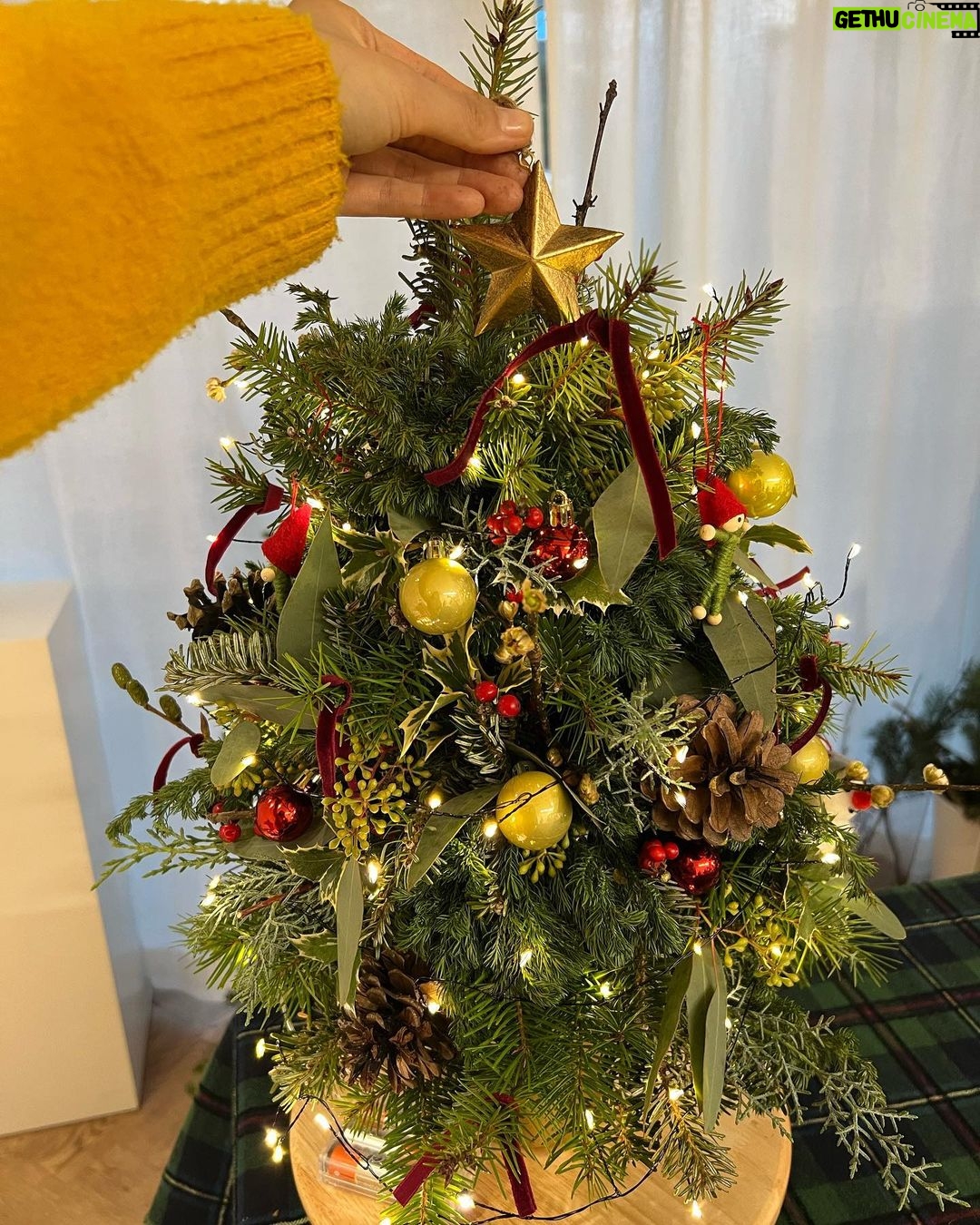Lee Hanee Instagram - Merry christmas!๐ . ํด์ค๋ง์ค ํธ๋ฆฌ๋ง๋ค๊ธฐ๋ก ํ๋ฌ๋ชจํ๋ฌ ์ค๋๋ง ๊ทผํฉํ ํฌ ๊ฐ์ฅํ์ด์ใ
๋งํฌํ๊ณ ๋๋ฌ์ค์ธ์~^^ (3,4๋ฒ์งธ.ํธ๋ฆฌ๋.๊ทธ๋ฅ ์ด๋ป์ใ
) ๋ค๋ค ์ฆ๊ฑฐ์ด ํฌ๋ฆฌ์ค๋ง์ค ๋ณด๋ด์ธ์!โค๏ธ๐