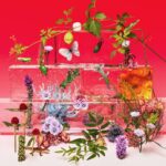 Lee Hi Instagram - "The LeeHi" Visuals. - **피지컬 앨범 공식 판매 안내** 이하이의 세번째 정규앨범 [4 ONLY] 피지컬 앨범의 온/오프라인 공식 판매가 오늘부터 시작되었으니 많은 관심 부탁드립니다. (판매처 별 판매 현황 및 배송 일시가 상이할 수 있으니 참고 부탁드립니다.) ㅤ On/off-line purchases of LeeHi's third album [4 ONLY] are now available. (The sales status and deliverty times may vary depending on the stores.) ㅤ - 이하이 (LeeHi), 3rd Album [4 ONLY] 🎧Streaming Available at: https://aomgofficial.lnk.to/4ONLY ㅤ 1. 구원자 (Feat. B.I) 2. 그대의 의도 3. 물타기 4. Bye 5. 빨간 립스틱 (Feat. 윤미래) *Title 6. 머리어깨무릎발 (Feat. 원슈타인) 7. 안전지대 8. 어려워 9. Darling 10. ONLY ㅤ - @leehi_hi #이하이 #LeeHi #4ONLY #AOMG