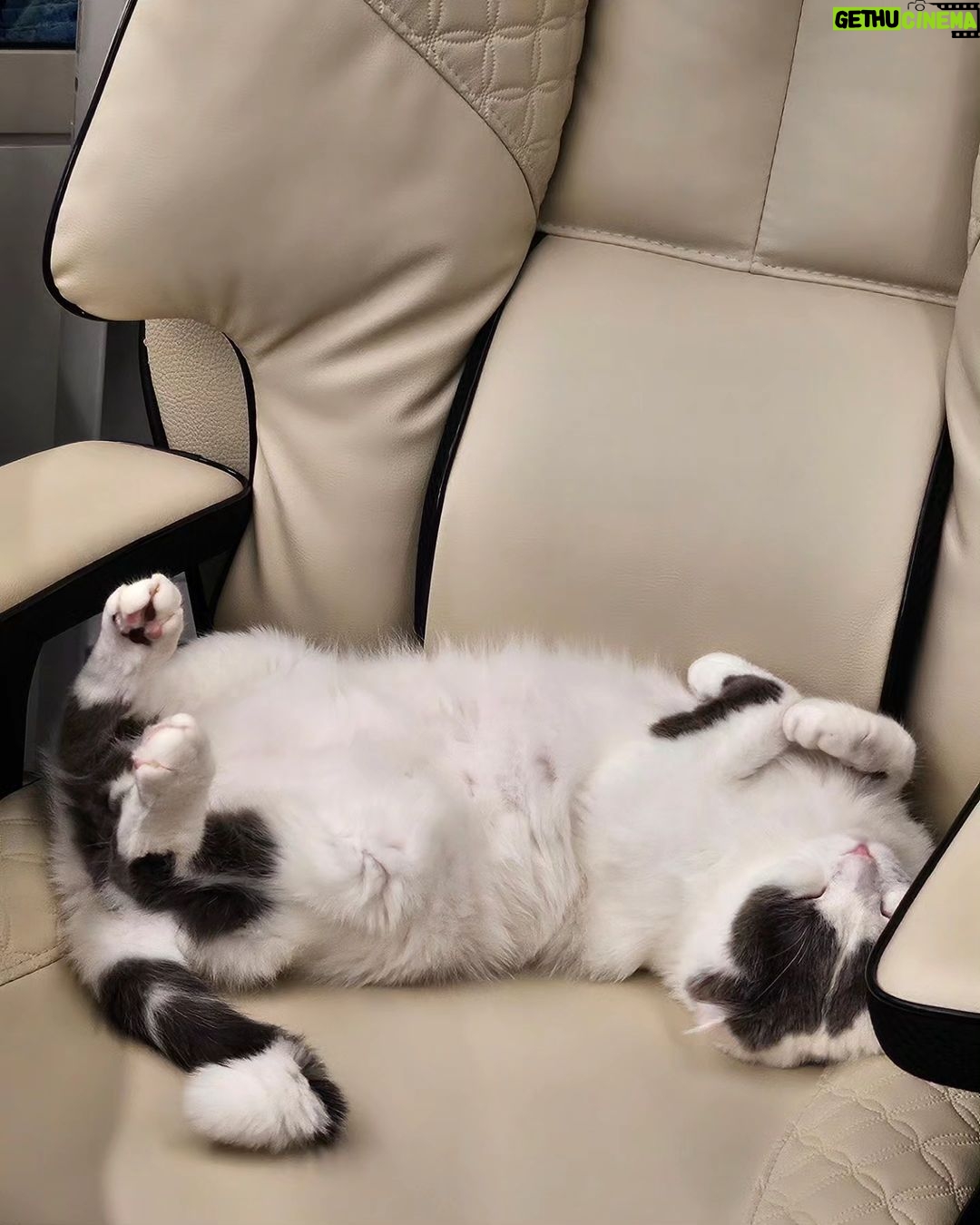 Lee Hong-gi - 65K Likes - 🐈🐈⬛🐱