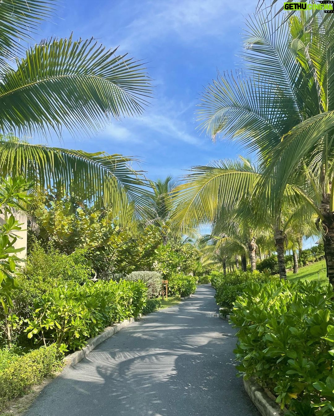 Lee Hye-ri Instagram - 수박 좋아 망고 좋아 나쨩 좋아 🍉🌴👙
