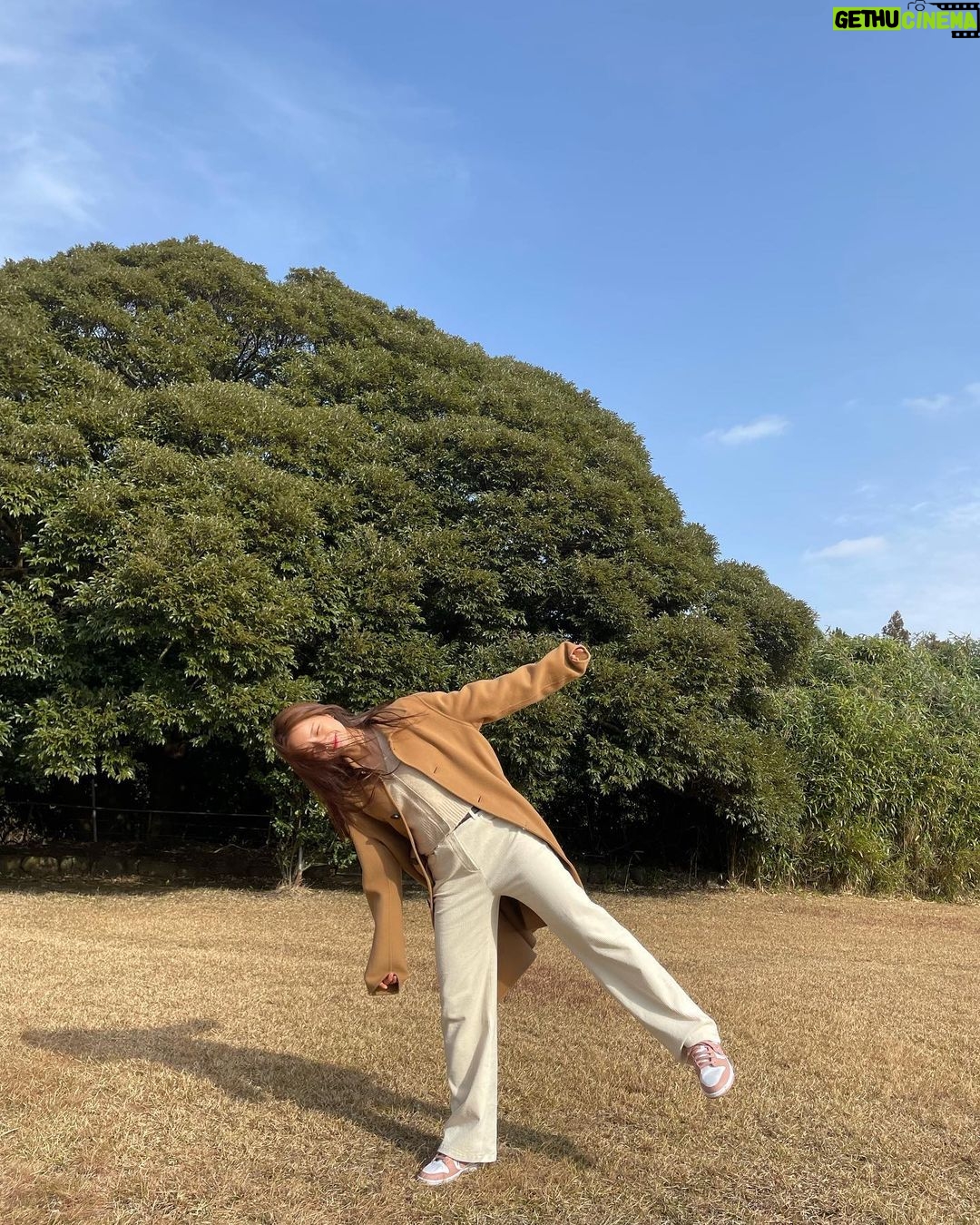 Lee Hye-ri Instagram - 또 가고파 제주 🧡 (제주 브이로그 준비중이요)