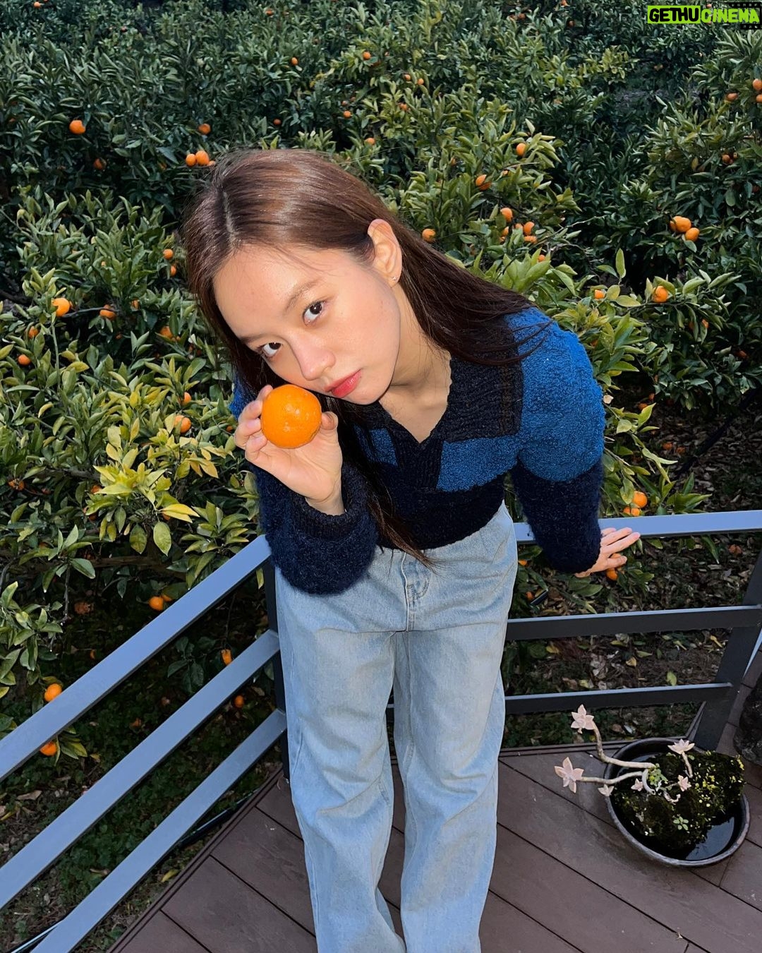Lee Hye-ri Instagram - 또 가고파 제주 🧡 (제주 브이로그 준비중이요)
