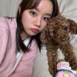 Lee Hye-ri Instagram - 나의 최고 잘샀템 시몬스 뷰티레스트 블랙. 🖤 엄마가 쓰던 침대도 거의 10년이 다 돼가서 드디어 바꿔드렸다 !!!! 잘 쓰고 있는지 확인하러 갔는데 우리 호두가 더 신났네 😅 #시몬스 #시몬스침대