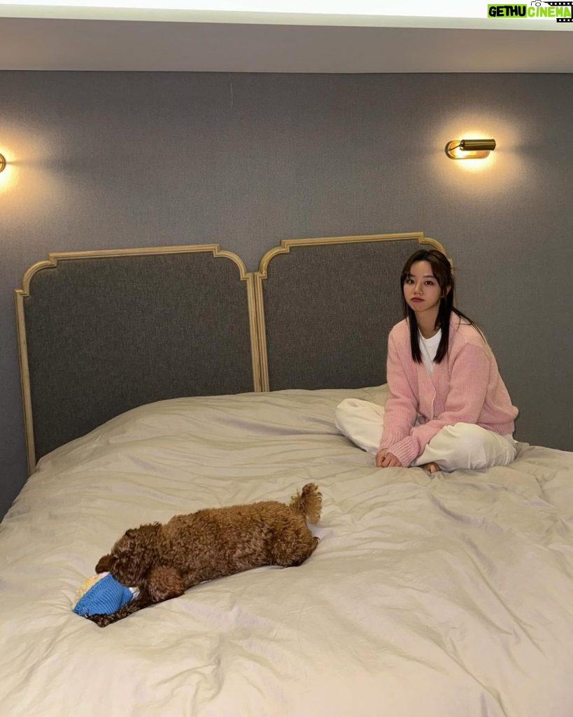 Lee Hye-ri Instagram - 나의 최고 잘샀템 시몬스 뷰티레스트 블랙. 🖤 엄마가 쓰던 침대도 거의 10년이 다 돼가서 드디어 바꿔드렸다 !!!! 잘 쓰고 있는지 확인하러 갔는데 우리 호두가 더 신났네 😅 #시몬스 #시몬스침대