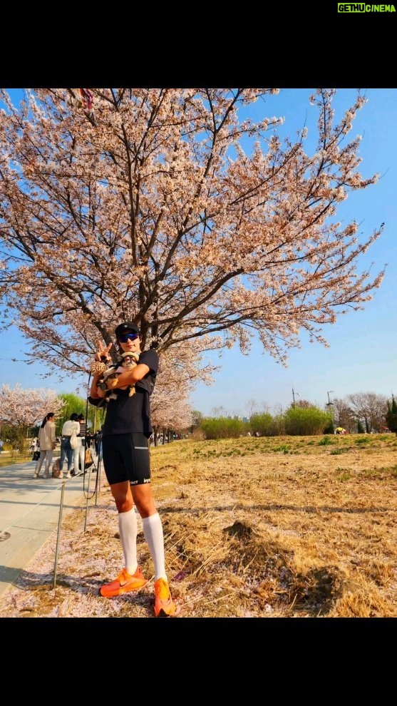 Lee Joon-gi Instagram - Running with Kabi 🐶🌸 So beautiful day is Back !