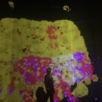 Lee Jun-ho Instagram - @teamlab_life