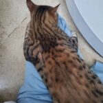 Lee Jun-ho Instagram - this is the reason why i don't wanna go outside. when i'm in hurry he always act like this