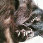 Lee Jun-ho Instagram -