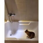 Lee Jun-ho Instagram - you want to take a shower with me?