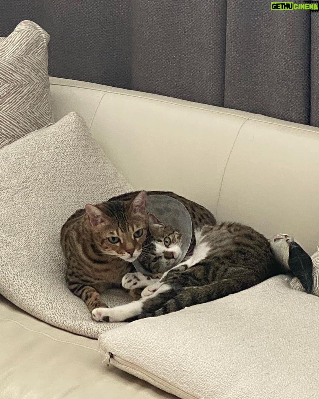 Lee Jun-ho Instagram - we are gonna get through this situationš·