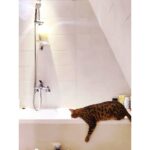 Lee Jun-ho Instagram - you want to take a shower with me?