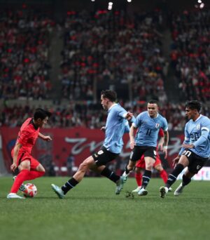 Lee Kang-in Instagram - 이번에 많은 축구팬분들의 관심과 응원 속에 다시 한번 축구의 열정을 느낄 수 있었습니다.
앞으로도 팬분들께 항상 발전된 모습 보여드리고, 더 큰 즐거움 드릴 수 있도록 꾸준히 노력하겠습니다.
앞으로도 많은 관심 부탁드립니다.🇰🇷♥️