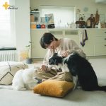 Lee Min-ho Instagram - @drmypet.co.kr #마이펫닥터