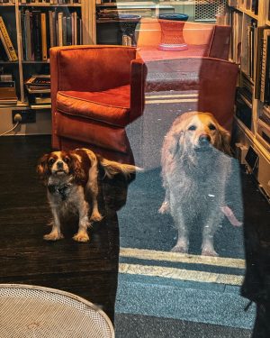 DK Instagram - London Traveling◡̈