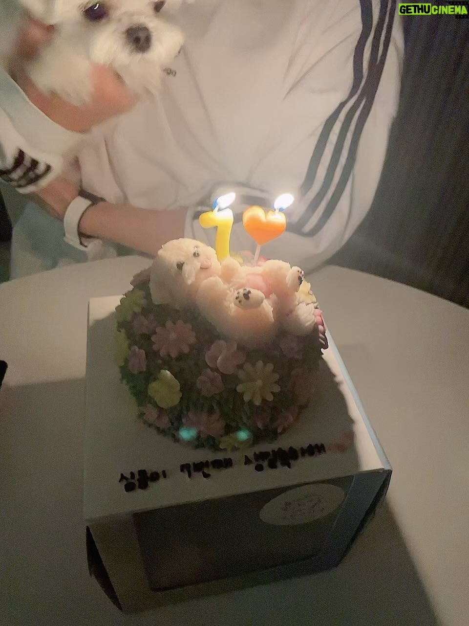 Leeteuk Instagram - 우리쿵이 7번째 생일~!! 쿵이는 노래를 넘 잘해 리듬감각도 최고죠~!! 세상에서 가장 사랑하는 우리 쿵이 아프지말고 아빠랑 40년만 같이 행복 하게 살자 사랑해💙❤️