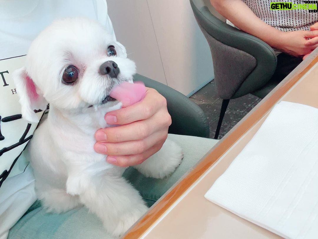 Leeteuk Instagram - #엄마생신축하드려요❤️ #가족모임❤️ #킹크랩대게최고☺️ #k-house👍🏻