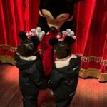 Leigh-Anne Pinnock Instagram – Disney Dump 🥹😍 we had the cutest little family trip. Bubbas LOVEDDDD it! Screamed when they met Minnie 😩 just too too cute! ❤️❤️