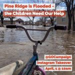 Leighton Meester Instagram - 10am PST @davidabwilliams and I will be taking over the @gocampaign Instagram- we’ve extended our fundraising deadline in light of the recent flooding in Pine Ridge- please join us!