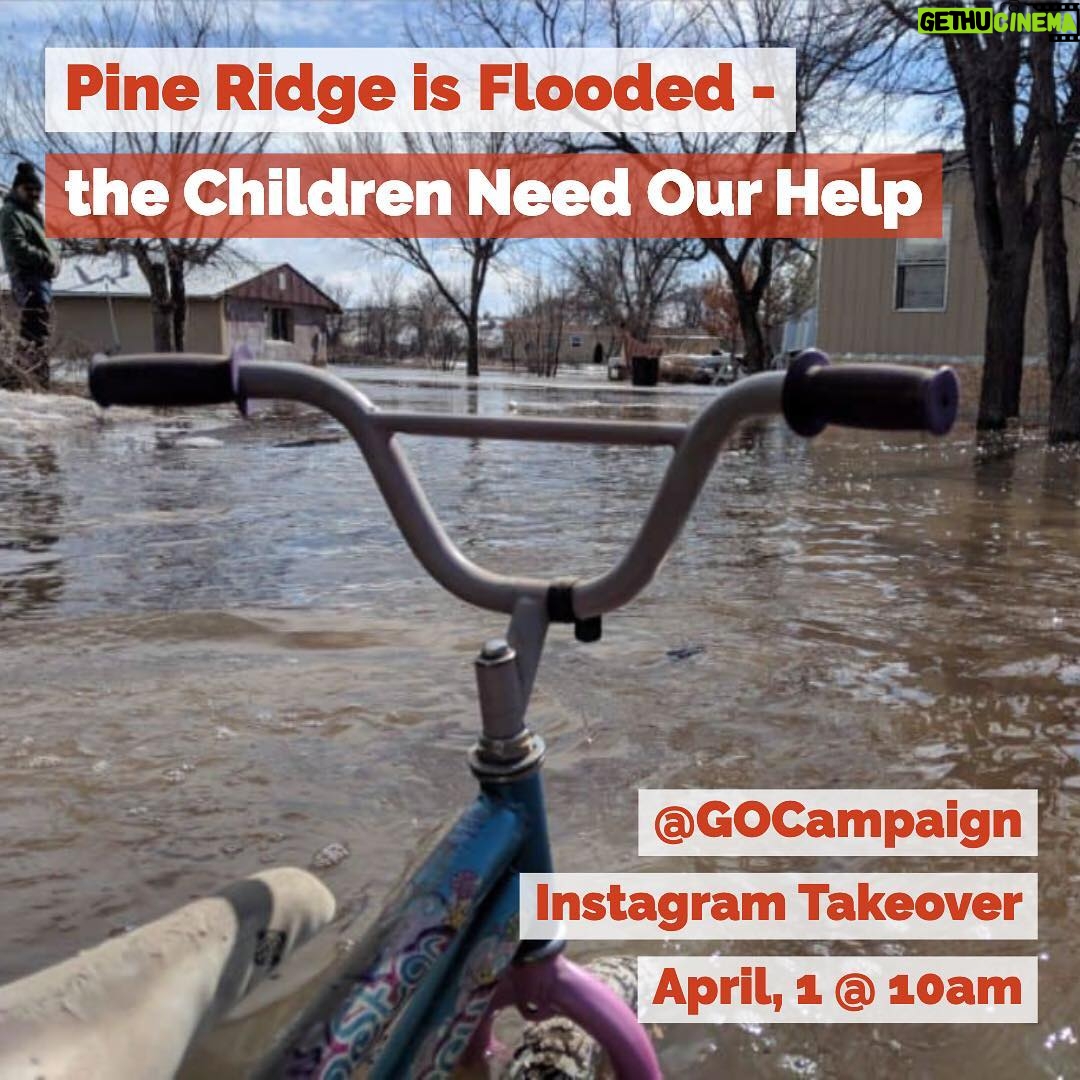 Leighton Meester Instagram - 10am PST @davidabwilliams and I will be taking over the @gocampaign Instagram- we’ve extended our fundraising deadline in light of the recent flooding in Pine Ridge- please join us!