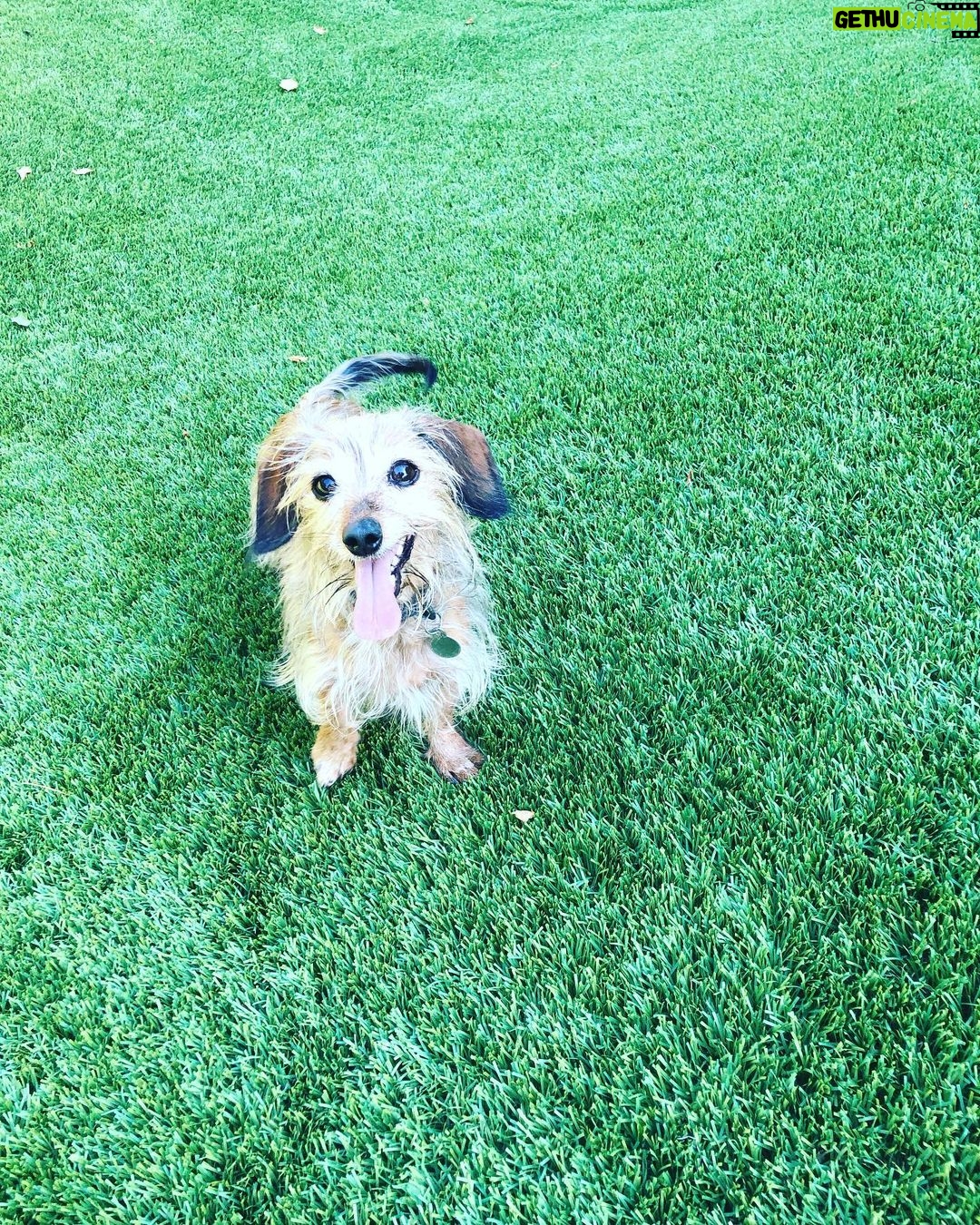 Leighton Meester Instagram - Golden bday #trudy #gertrude #trudygarland #judgetrudy
