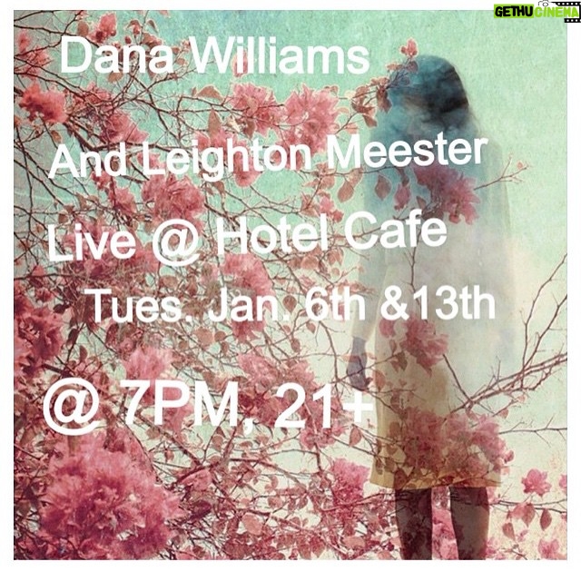 Leighton Meester Instagram - Regram @iamdanawilliams and me tonight and next Tuesday at Hotel Cafe in LA. 👭