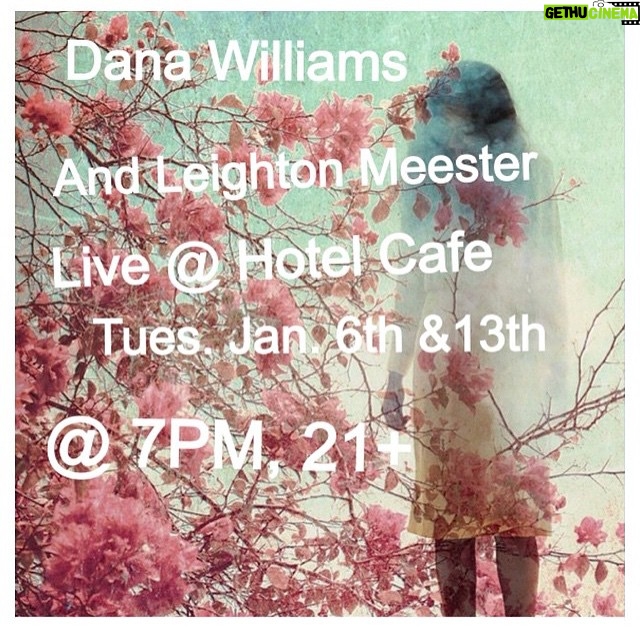 Leighton Meester Instagram - Regram @iamdanawilliams and me tonight and next Tuesday at Hotel Cafe in LA. ðŸ‘
