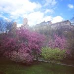 Leighton Meester Instagram -