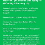 Leighton Meester Instagram - Via @theslacktivists- #defundthepolice explained. Invest in education, healthcare, housing. Link in my bio to sign petition and donate while you’re there