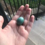 Lena Dunham Instagram - These pictures tell a little story- hollow eyes, shaky identity as expressed by cliche radical hair color change, pleading notes to self with a false tone of uplift... Right before I found that Robin’s Egg on the ground I got sober, 4 years ago today. I kept changing my hair. I kept writing myself notes. But even in the broodiest selfies my eyes looked occupied again, and somewhere along the way I started smiling like I meant it. Sobriety isn’t the solution for everyone and it’s not a quick fix. We all do life differently. There are a lot of ways to be a person and nobody gets out of here alive, so the goal is to do it with minimal hurt and maximal grace. Sobriety jump started my relationship with something bigger than myself, restored my infinite curiosity and reminded me of who I had always been. And now I’ve been at it for a full presidential term. If you see me today, matcha is on me.
