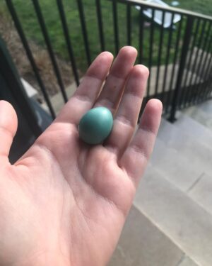 Lena Dunham Instagram - These pictures tell a little story- hollow eyes, shaky identity as expressed by cliche radical hair color change, pleading notes to self with a false tone of uplift... Right before I found that Robin’s Egg on the ground I got sober, 4 years ago today. I kept changing my hair. I kept writing myself notes. But even in the broodiest selfies my eyes looked occupied again, and somewhere along the way I started smiling like I meant it. Sobriety isn’t the solution for everyone and it’s not a quick fix. We all do life differently. There are a lot of ways to be a person and nobody gets out of here alive, so the goal is to do it with minimal hurt and maximal grace. Sobriety jump started my relationship with something bigger than myself, restored my infinite curiosity and reminded me of who I had always been. And now I’ve been at it for a full presidential term. If you see me today, matcha is on me.