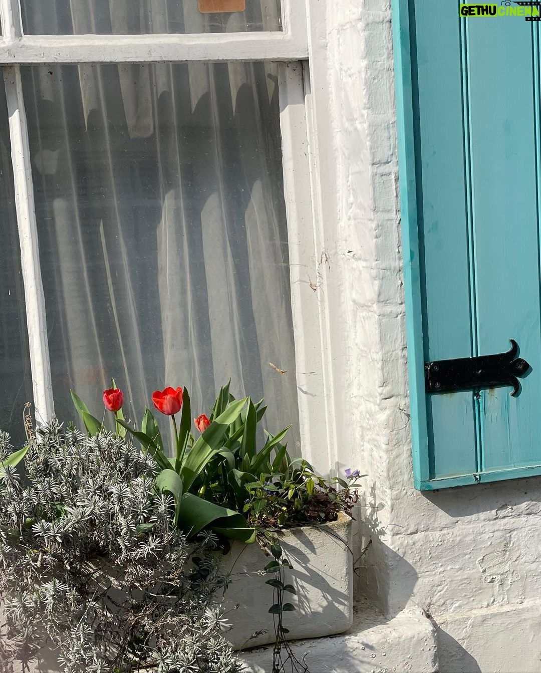 Lena Dunham Instagram - Spring has sprung! Remembering the world at large despite our hermetic lifestyle... This is a reminder to stay safe, think of others while protecting yourself, and smell. the. flowers... (also can you believe how cute my pointless bathroom stool is??) London