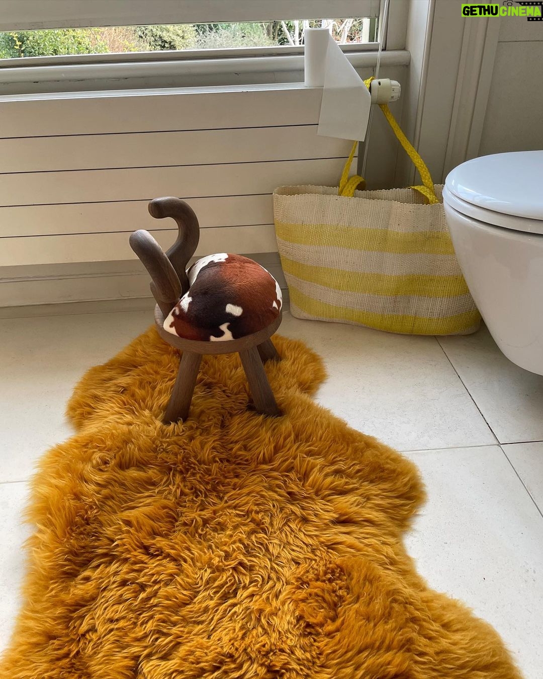 Lena Dunham Instagram - Spring has sprung! Remembering the world at large despite our hermetic lifestyle... This is a reminder to stay safe, think of others while protecting yourself, and smell. the. flowers... (also can you believe how cute my pointless bathroom stool is??) London