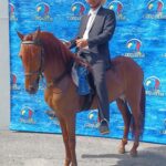 Lennox Instagram - Felicidades a la Familia Ponce Hacienda Los Ponce de Isabela PR y a la familia de Hacienda la bendecida pues nuestro bonito ejemplar Hechizado salió Campeón de la competencia valores del año en el área oeste DR.Eliseo Román Dios te bendiga siempre #naranjito #mamacita #durini #Pasofino