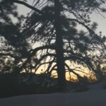 Leo Cidade Instagram - ❄️ vibe ❄️ 🫶🏻 Big Bear Lake, California