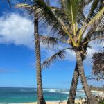 Leo Cidade Instagram - Loading Hawaii
