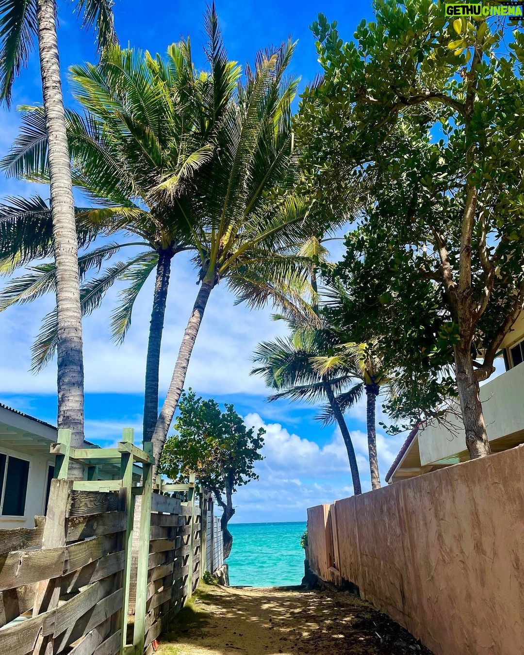 Leo Cidade Instagram - Hawaii memories 💚 🤙🏼 Honolulu, Hawaii