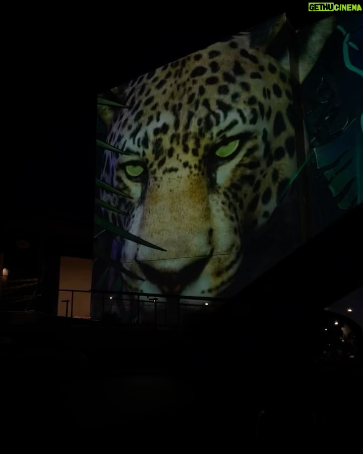 Leo Cidade Instagram - Oct Los Angeles, California