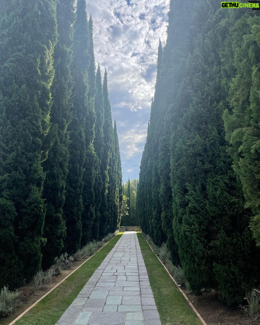 Leo Cidade Instagram - Lately Los Angeles, California