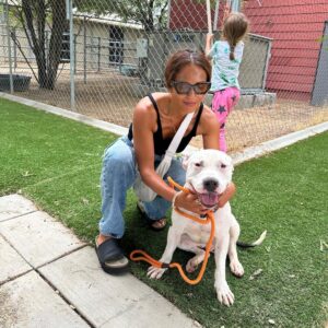 Lesley-Ann Brandt Instagram - Meet our new baby, Tui. Rescued today from the @lancasteranimalslaco . So many incredible dogs just waiting for a forever home. Thank you @rita_earl_blackwell for highlighting him and to the volunteers who do their best to give them love. Please adopt if you are looking for a pet to join your family. They truly know what you’ve done for them and their love is unmatched. Tui went into our back yard and did zoomies, maybe for the first time in his life. He looked so happy. 🥹. Welcome home boy. You are safe now.❤️ #adoptdontshop #rescuedog #pitbullsofinstagram