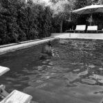 Lesley-Ann Brandt Instagram - After 43 years of marriage, still a team. Teaching mama how to float. 🥹 My heart is full. 🖤