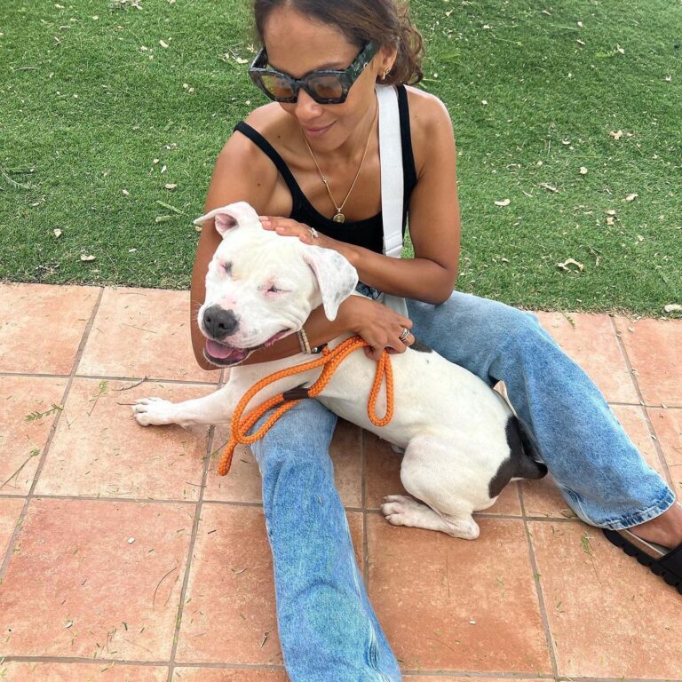Lesley-Ann Brandt Instagram - Meet our new baby, Tui. Rescued today from the @lancasteranimalslaco . So many incredible dogs just waiting for a forever home. Thank you @rita_earl_blackwell for highlighting him and to the volunteers who do their best to give them love. Please adopt if you are looking for a pet to join your family. They truly know what you’ve done for them and their love is unmatched. Tui went into our back yard and did zoomies, maybe for the first time in his life. He looked so happy. 🥹. Welcome home boy. You are safe now.❤️ #adoptdontshop #rescuedog #pitbullsofinstagram