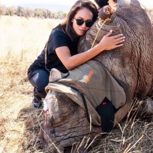 Lesley-Ann Brandt Instagram - Nothing prepares you for your first encounter. Meeting Harvey was truly special. On this day, I was given the honor of helping Dr Johan from @savingthesurvivors put a new covering over Harvey’s wound. He had been poached and I got to see first hand, just what that brutality looks like. Please consider a monthly donation to @savingthesurvivors who provide low cost and in many cases, free veterinary care to poached African wildlife across the continent. 🦏🌍