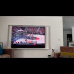Leslie Jones Instagram - My two cents LMAOO!! #WNBAFINALS