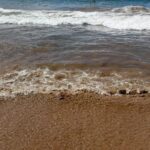 Leslie Jones Instagram - Why am I like this lol!! The beach is ultimate booty water!! I usually don’t go in lol!! But I had to try and that @lennymarcusnyc wife @gina_bo_beanaa reading lol #loving Hawaii!!